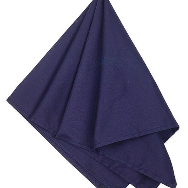 Solid Bandana Thumbnail